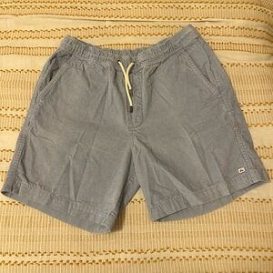 Quiksilver Light Blue Men's Shorts
